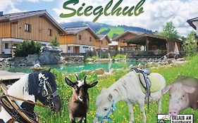 Sieglhub Chalets - Appartements - Hotel